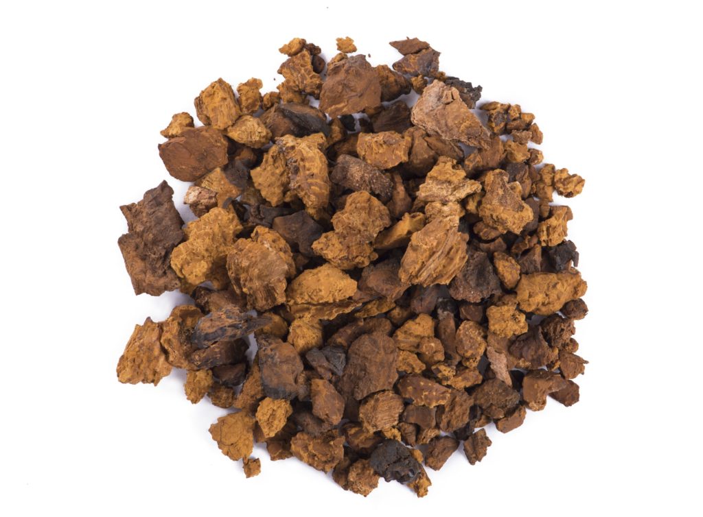 Chaga