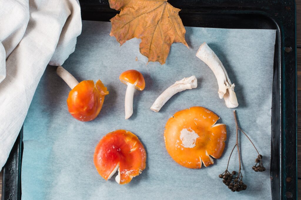 Raw chopped fly agarics ready to dry on parchment on a baking sheet.