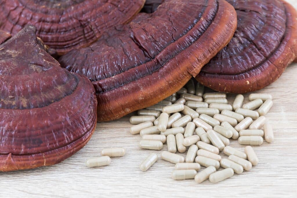 Ling zhi mushroom or Ganoderma lucidum capsule_