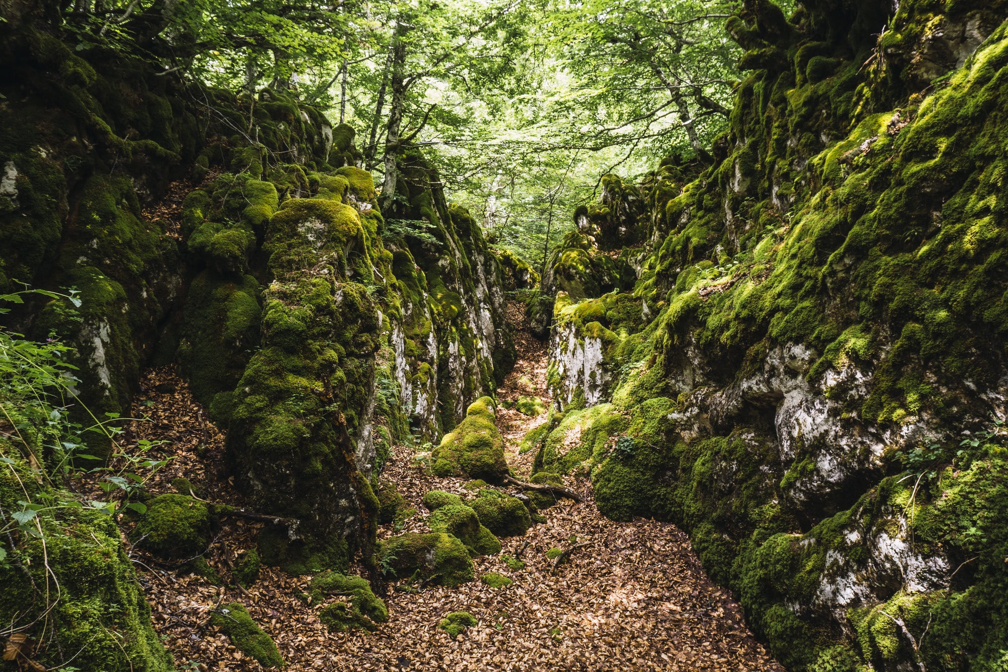 Magical sites in the forest of Mount Aizkorri