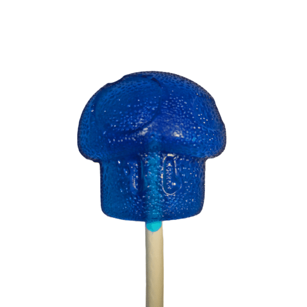 Lion's mane Lollypop - Blueberry