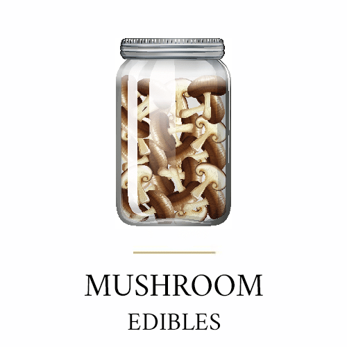 Mushroom Edibles