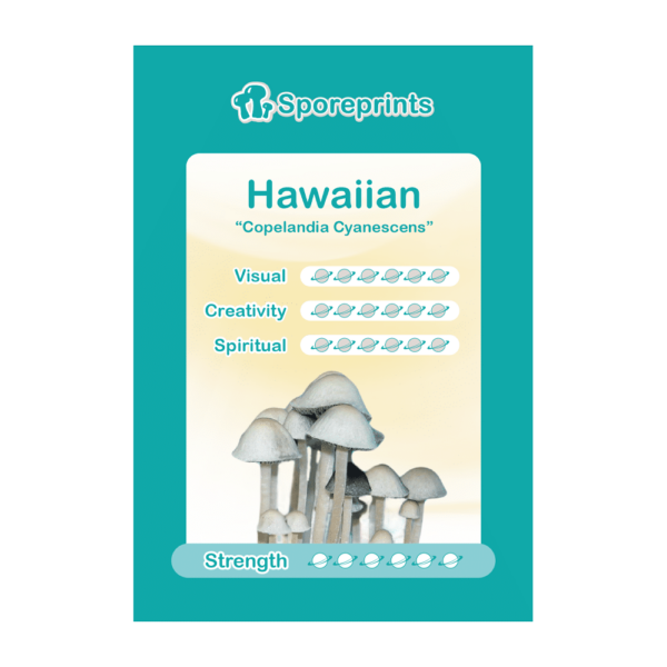 Hawaiian Sporeprint