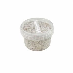 Azurescens Outdoor Growkit